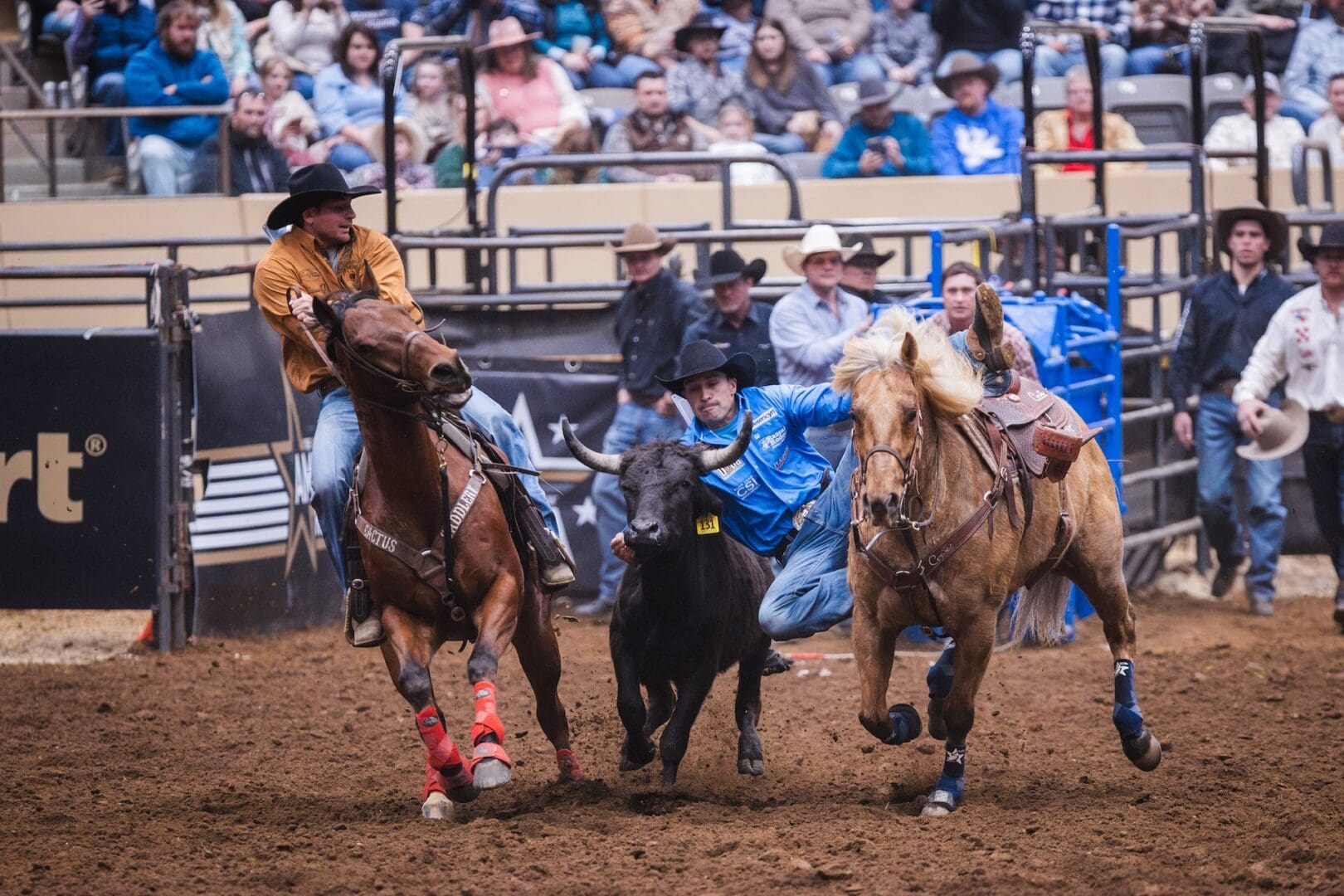 Rustic Brown Rodeo Ridgeview Pro Rodeo